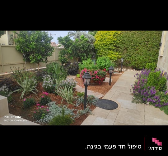 גינה מטופחת עם צמחים ופרחים צבעוניים